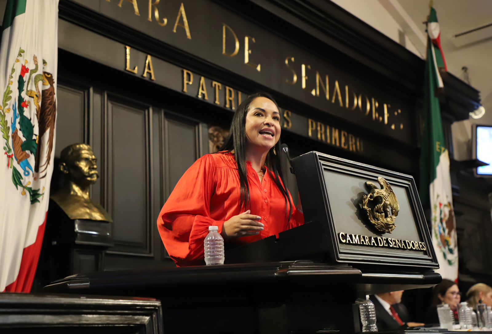 Liz Sánchez, senadora del PT, respalda a trabajadores del Poder Judicial tras votar a favor de la reforma