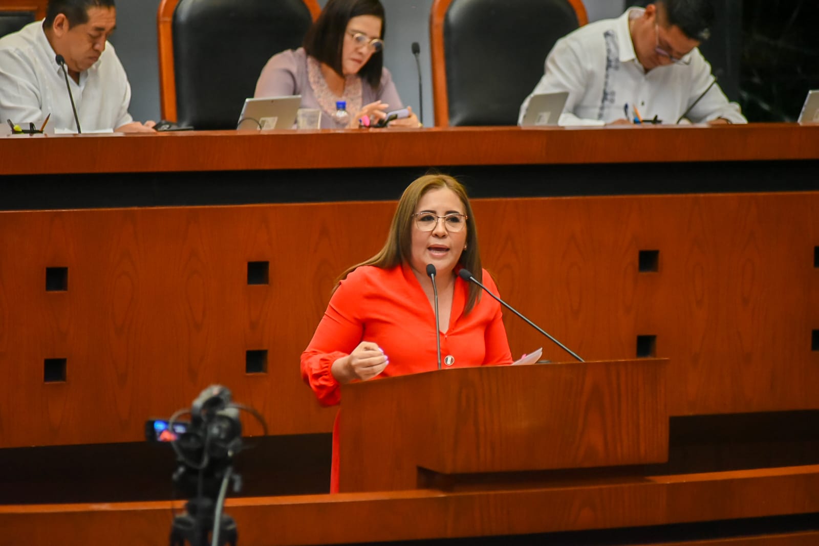 PROPONE DIPUTADA DEL PT LEY DE FOMENTO A LA LECTURA Y EL LIBRO DEL ESTADO DE GUERRERO.