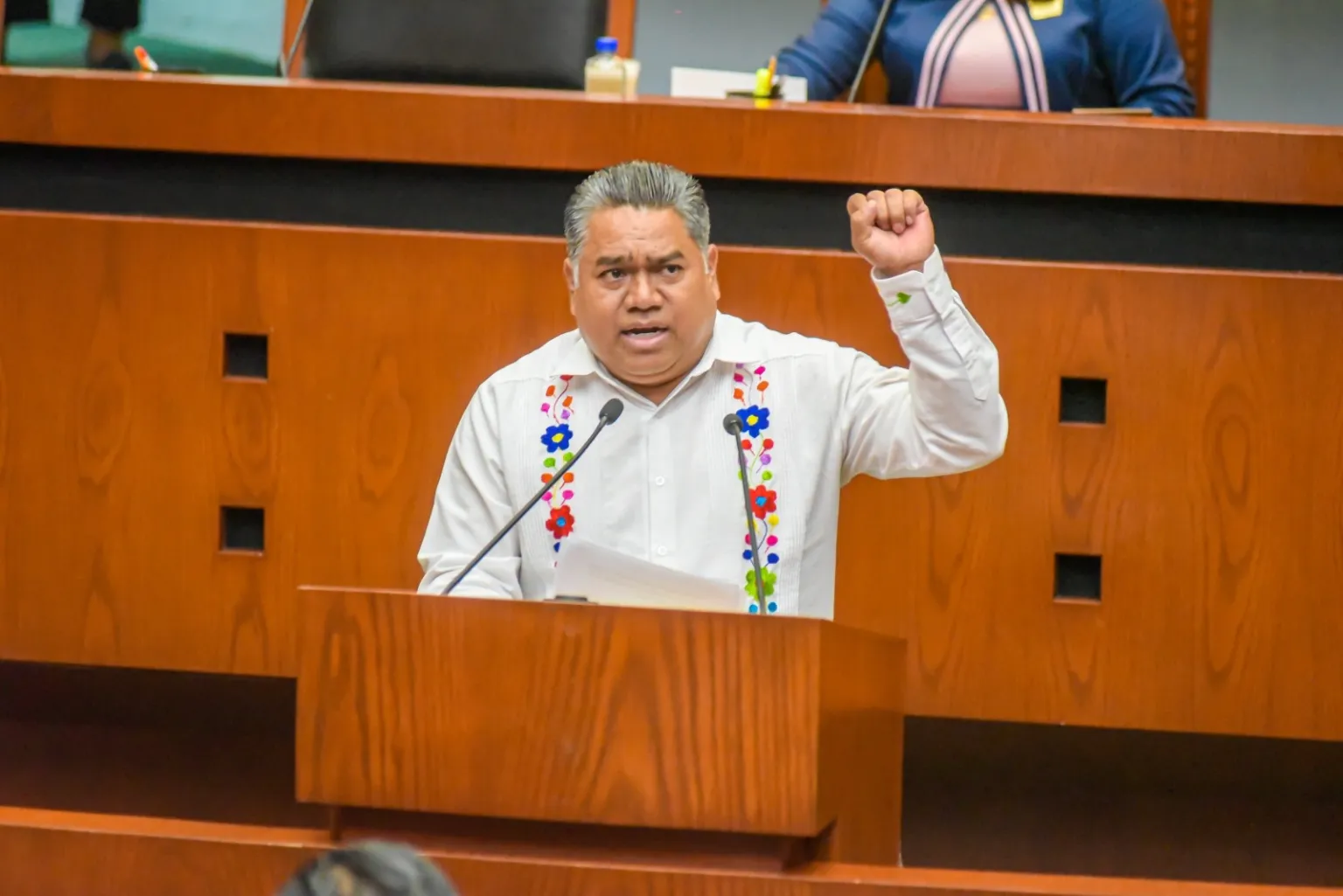 Plantea diputado reconocer la discapacidad intelectual jurídicamente para garantizar protección y atención.