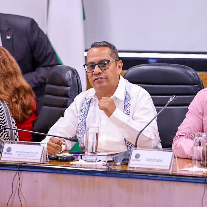 Luis Armand Díaz, diputado federal por BCS