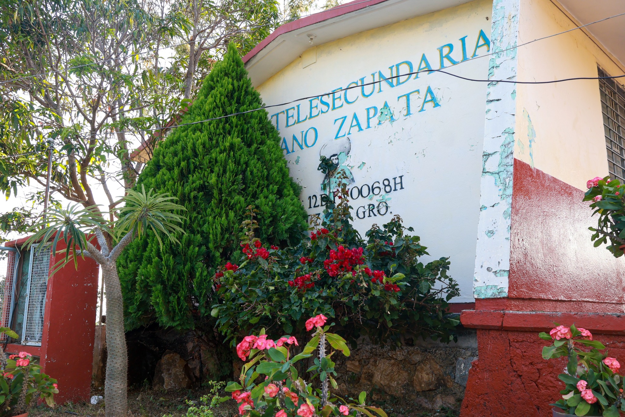 UN ALIADO DE LA EDUCACIÓN 2024-2025