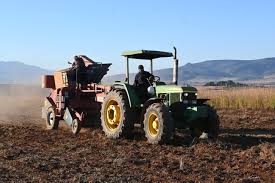 En 2025, el campo mexicano es la fuente vital de nuestra soberanía alimentaria y la cuna viva de nuestra identidad cultural.Es el pilar económico y social que sustenta a millones de familias, clave para el bienestar y futuro de la nación. Protegerlo es asegurar el latido y la esencia irremplazable de México.