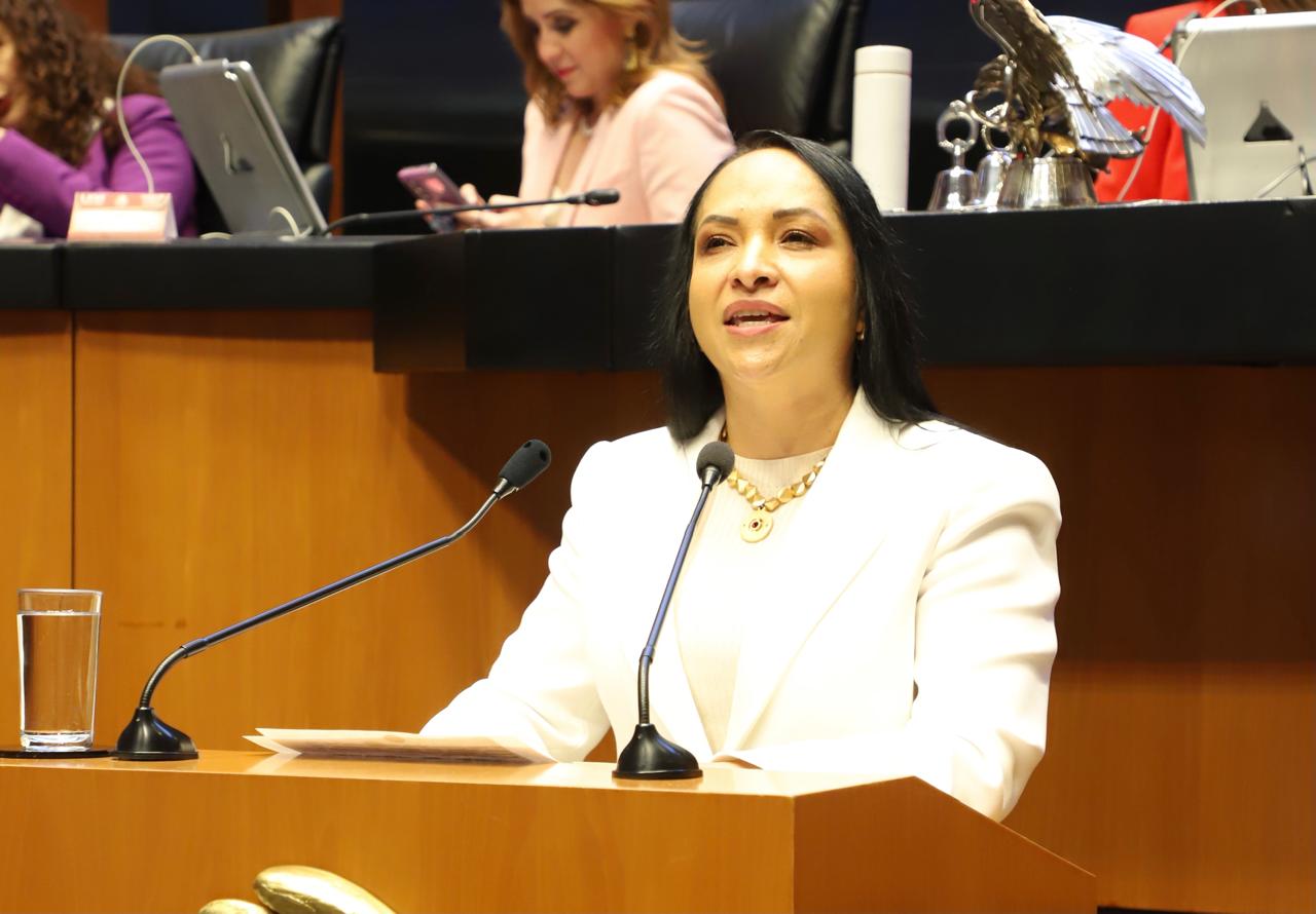 Reconoce PT elementos militares abatidos