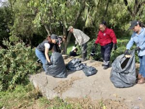 Regidoras del PT en Tepeji participan en acciones de limpieza para retirar lirio acuático del Río Tepeji