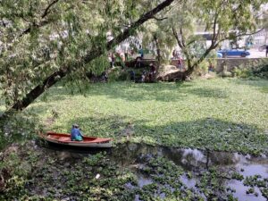 Regidoras del PT en Tepeji coordinan trabajos comunitarios para el saneamiento del Río Tepeji