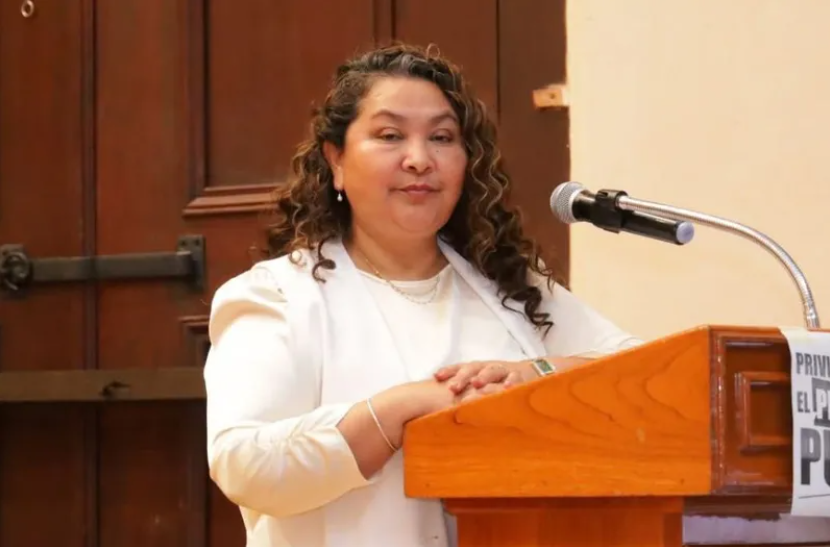 Diputadas del PT Colima proponen Ley Cazzu para proteger derechos de la niñez y madres cuidadoras