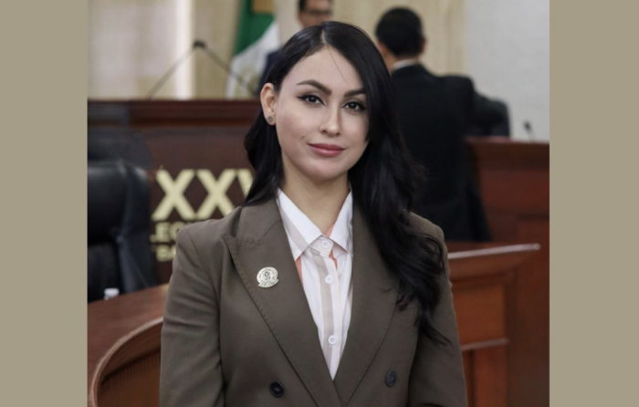 Exige diputada del PT puentes peatonales en el Bulevar 2000