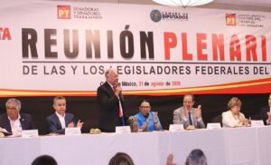 Reunión Plenaria