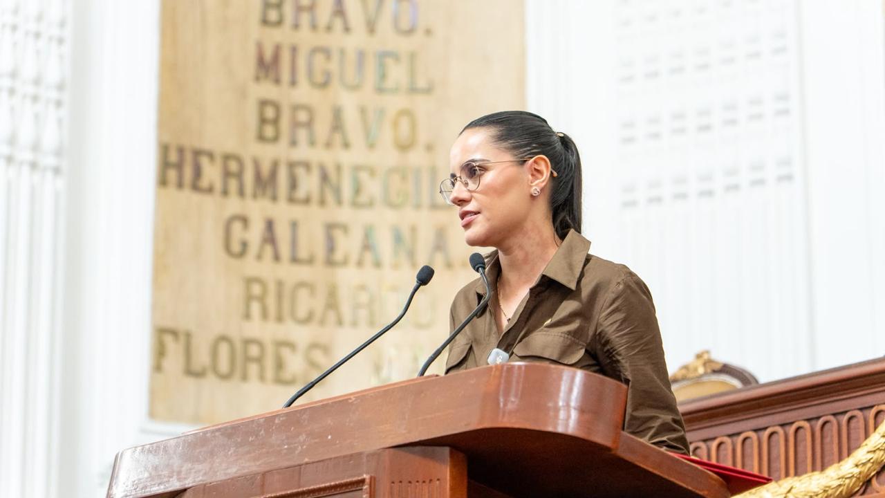 Propuesta de Dip. Diana Barragán: Reconocer constitucionalmente la neurodiversidad en la Ciudad de México